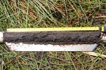 Peat sitting on a sampling device with a ruler along the top