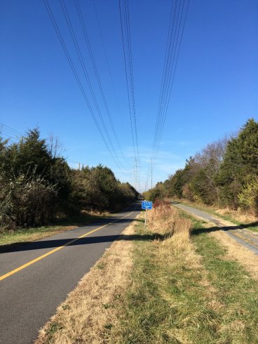 Power lines along the bike trail