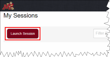 Launch Session button selected in VOLE session launcher.