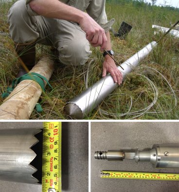 The peat corer in use and a close up of its serrated end