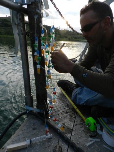 Researcher using Rhizon pore water sampler on a lake