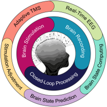a precise personalized brain imaging and stimulation system using real-time electroencephalography (EEG) with neuronavigated closed-loop TMS. 