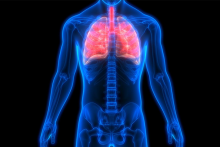 An image depicting the respiratory system. Lungs are a glowing red to standout amidst a blue human figure.