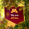 U of M banner hanging from a tree that says "We are driven". Banner is maroon with a gold "M".