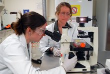 Professor Theresa Reineke works with Ph.D. student Haley Phillips in lab