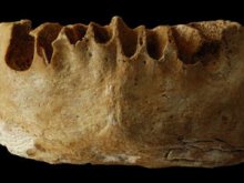 100,000-year-old jawbone