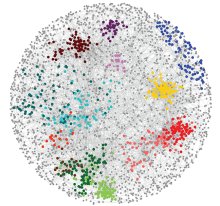A ball of colorful connections showing gene networks