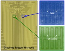 Fluorescence images of microchip containing a large array of graphene electronic tweezers