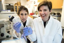 biomedical engineering Associate Professor Brenda Ogle (right) and Ph.D. student Molly Kupfer (left)