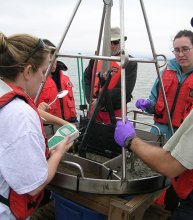Researchers collected samples and took chemical measurements of the sediment from San Francisco Bay