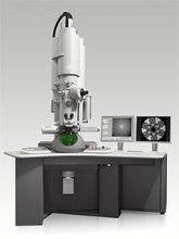 FEI Tecnai™ Femto ultrafast electron microscope (UEM)