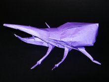 Origami beetle