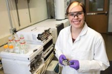 Erin Carlson, a University of Minnesota chemistry associate professor, led the team from the NSF Center for Sustainable Technology that that showed for the first time that non-antibacterial nanoparticles can cause resistance in bacteria. 