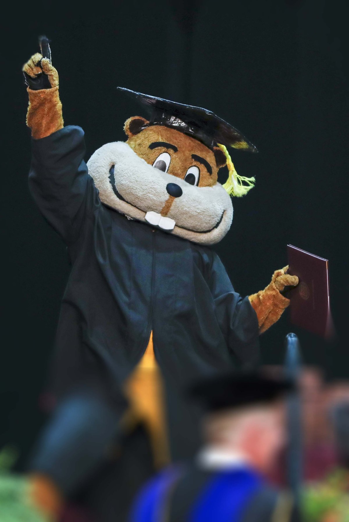 Goldy Gopher in graduation cap & gown at commencement ceremony