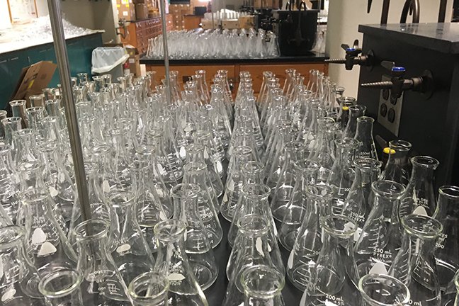 a sea of glassware for the general chemistry lab