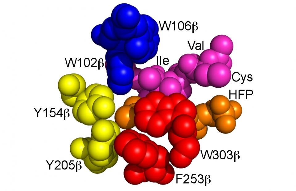 Mutant forms of farnesyltransferase used to study enzyme specificity