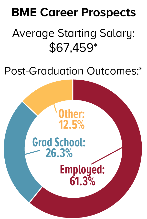 BME career prospects: The average starting salary is $67,459*. Post-graduation outcomes* are as follows: 26.3% attend graduate school, 61.3% are employed, and 12.5% fall.