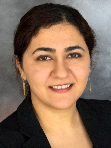 Sahar Sharifzadeh