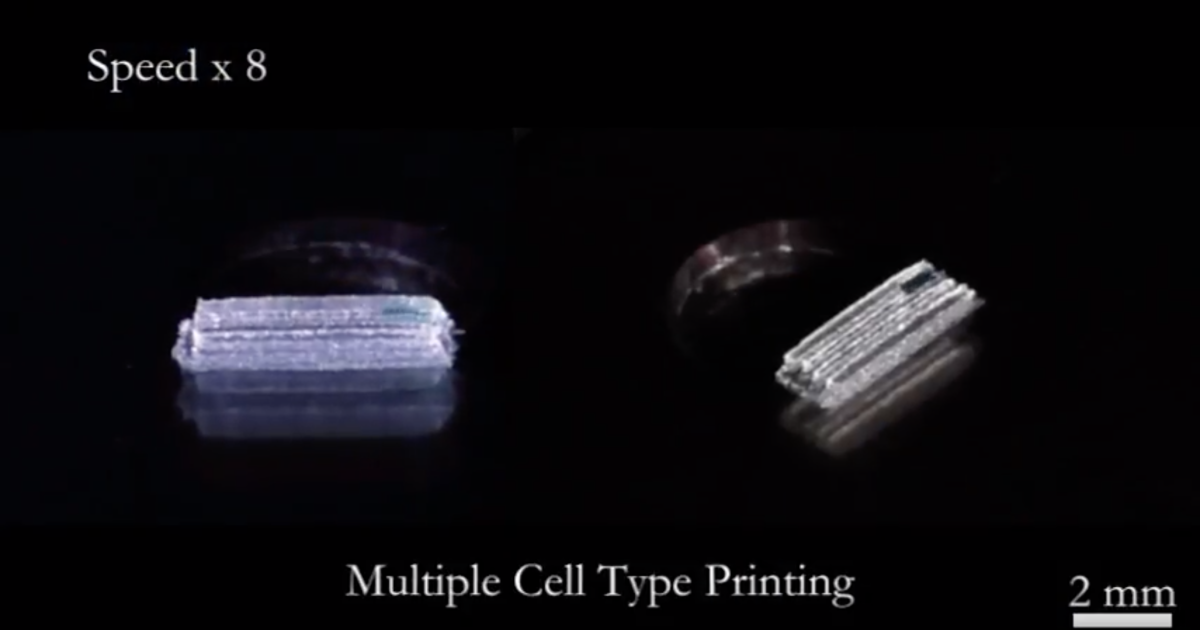 Multi Cell Type Printing