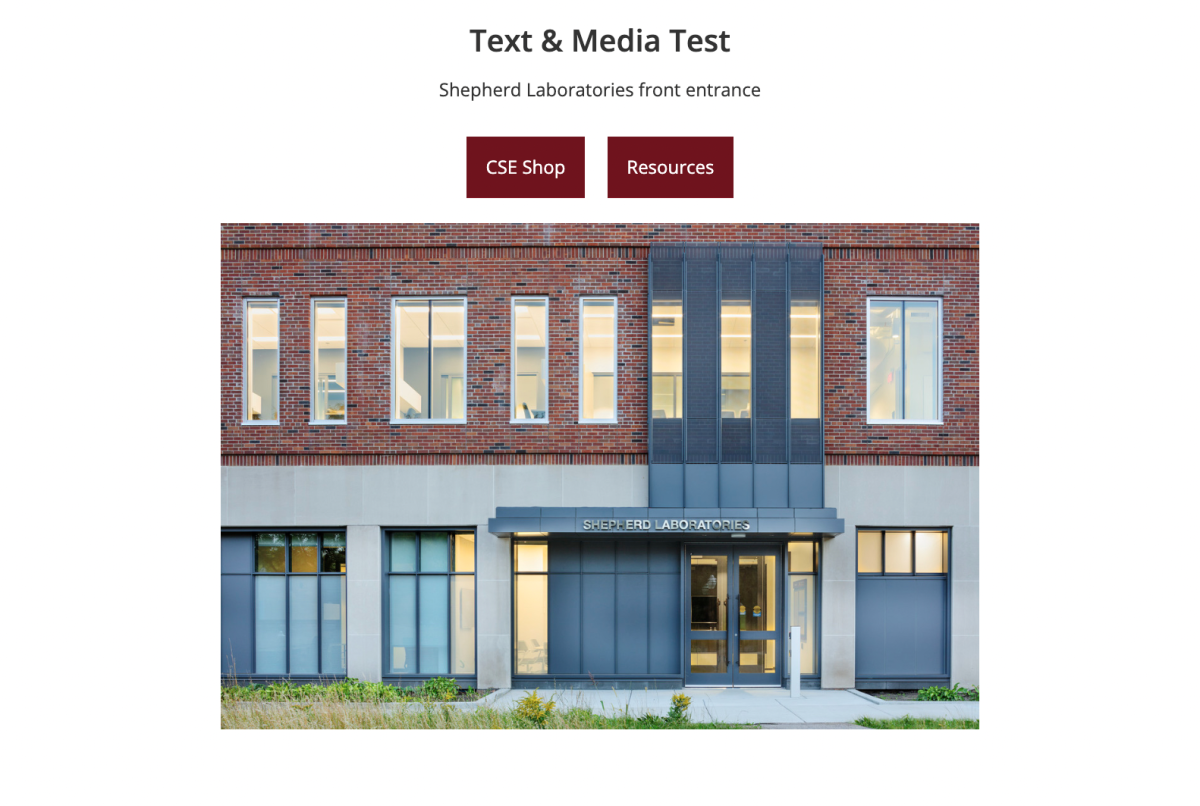 Example of a text & media widget text and above above the media