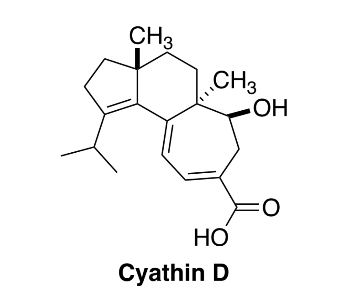 Cyathin D