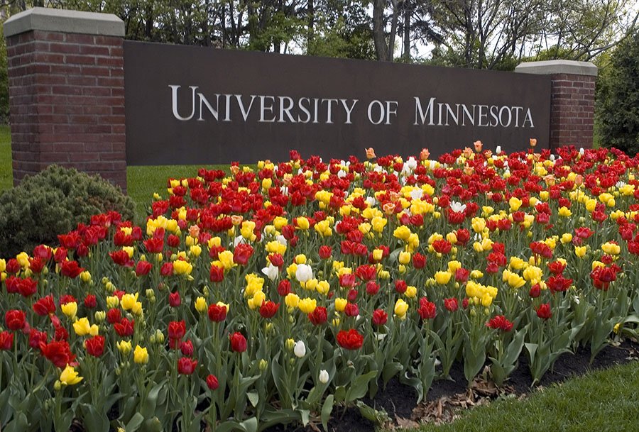 University of Minnesota sign with tulips