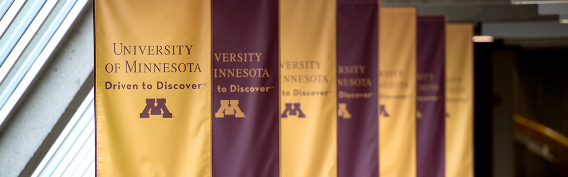 gold and maroon UMN flags