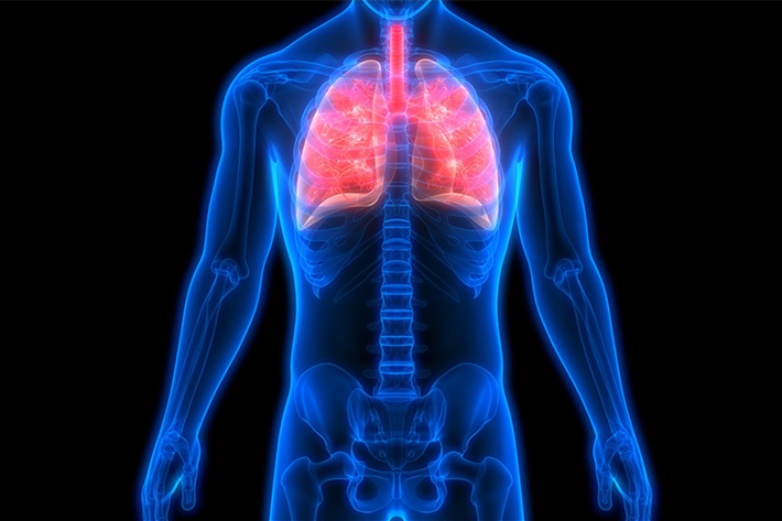 An image depicting the respiratory system. Lungs are a glowing red to standout amidst a blue human figure.