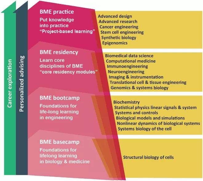 Representation of the modern BME 2.0 curriculum