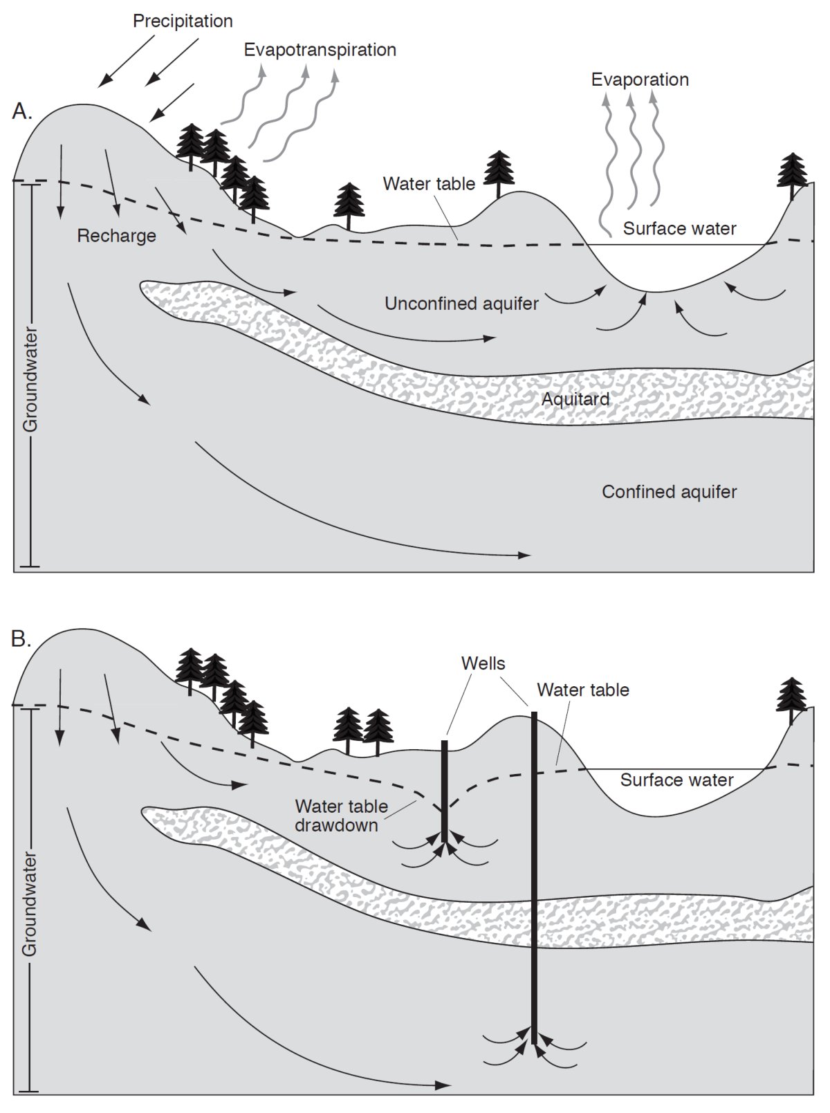 Diagrams showing groundwater systems. Arrows represent the direction of groundwater flow.