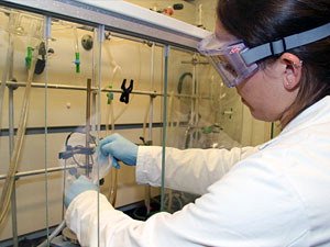 Kathryn "Kate" McGarry working in the lab