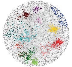 Gene network map