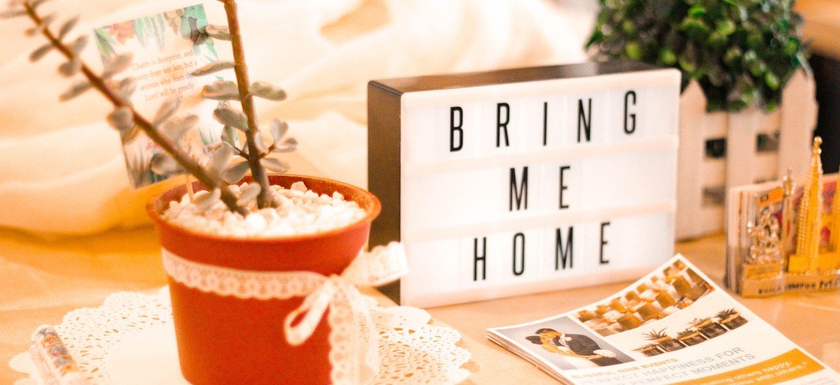 Potted Plant and Bring Me Home Sign