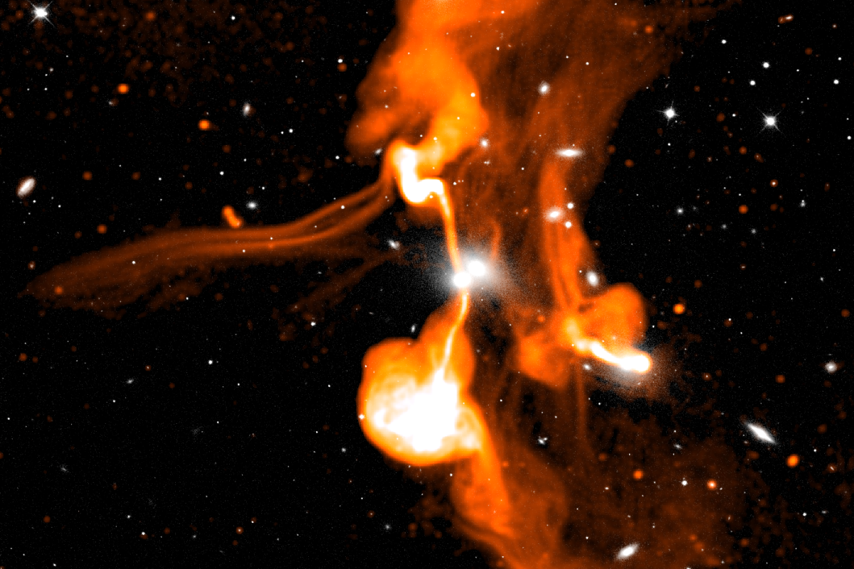 Radio galaxies image from the MeerKAT telescope