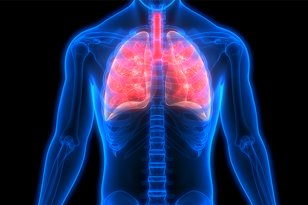 iStock image of lungs highlighted.