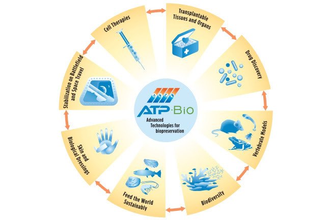 ATP-Bio graphic: Advanced Technologies for biopreservation. Cell therapies, transplantable tissues and organs, drug discovery, vertebrate models, biodiversity, feed the world sustainably, skin and biological dressings, and stabilization on battlefield and space travel
