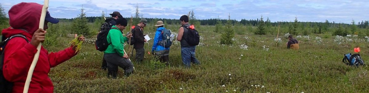 Community members and researchers doing a plant survey