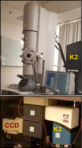 Tecnai g2 f30 electron microscope
